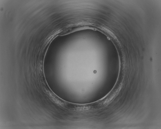 X0000077320793200611031704