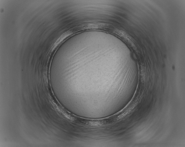 X0000077320794200611031704