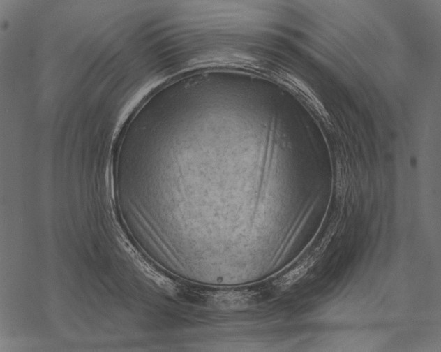 X0000077320796200611031704