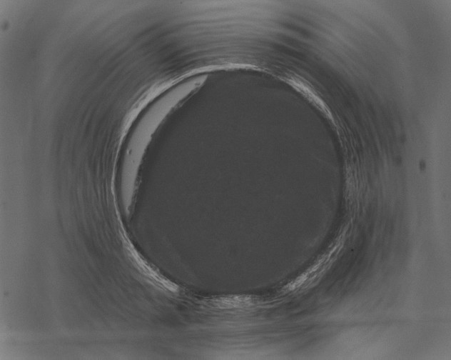 X0000077320797200611031704