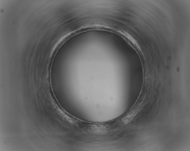 X0000077320799200611031704