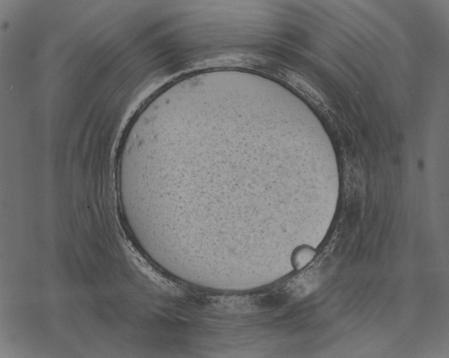 X0000077320800200611031704