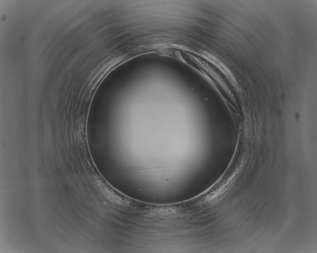 X0000077320801200611031704