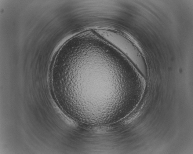 X0000077320803200611031704