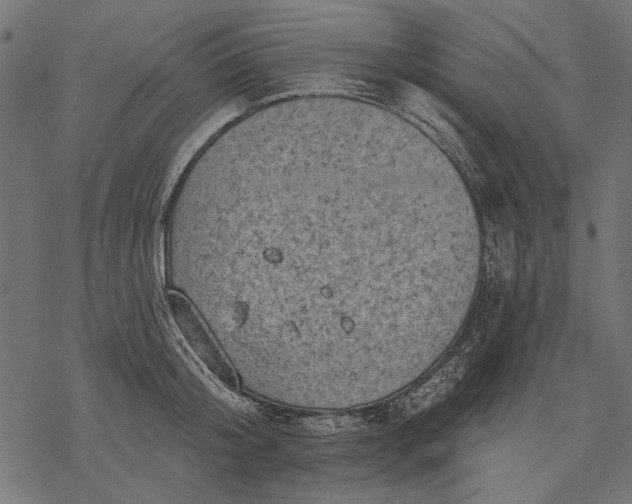 X0000077320804200611031704