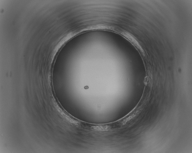 X0000077320805200611031704