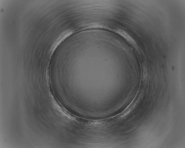 X0000077320806200611031704