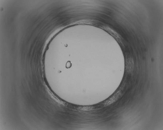 X0000077320808200611031704