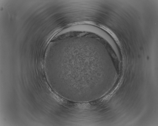 X0000077320809200611031704