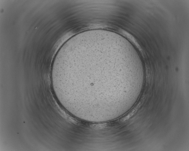 X0000077320810200611031704