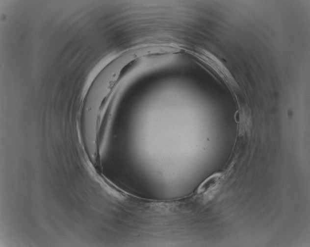 X0000077320812200611031704