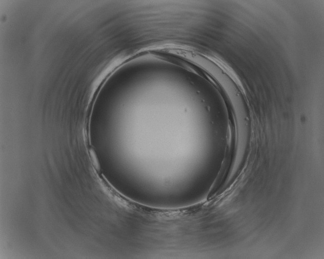 X0000077320813200611031704