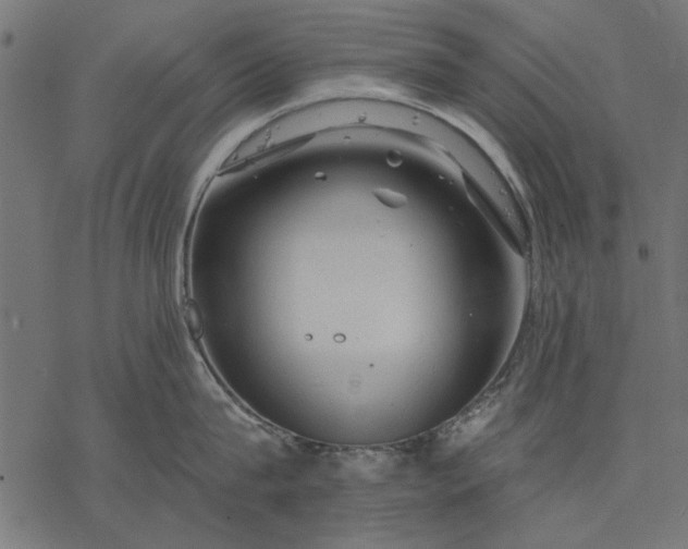 X0000077320815200611031704