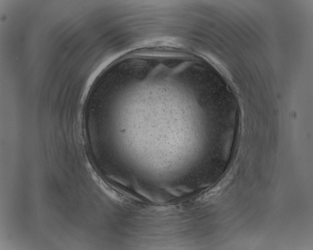 X0000077320816200611031704