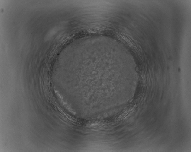 X0000077320817200611031703