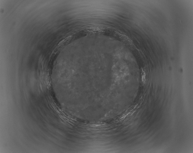 X0000077320819200611031703