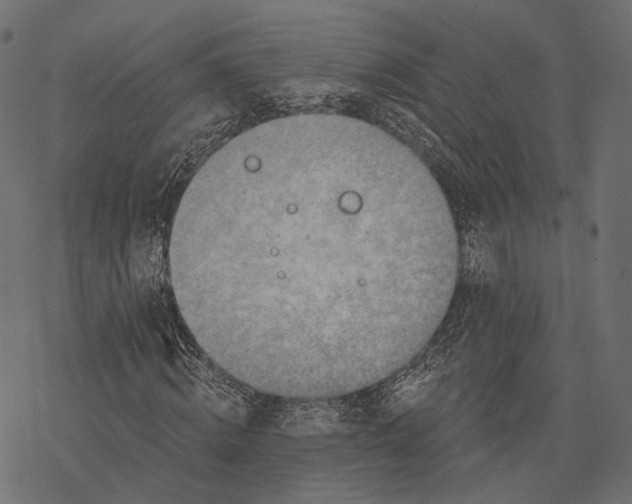 X0000077320820200611031703