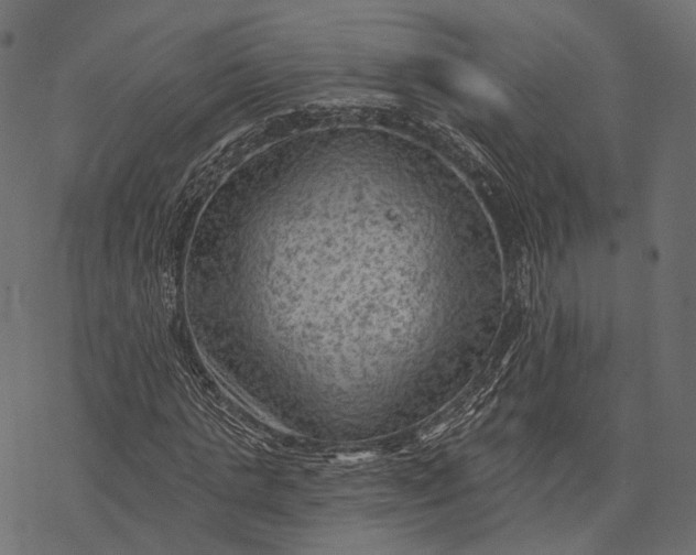 X0000077320821200611031703