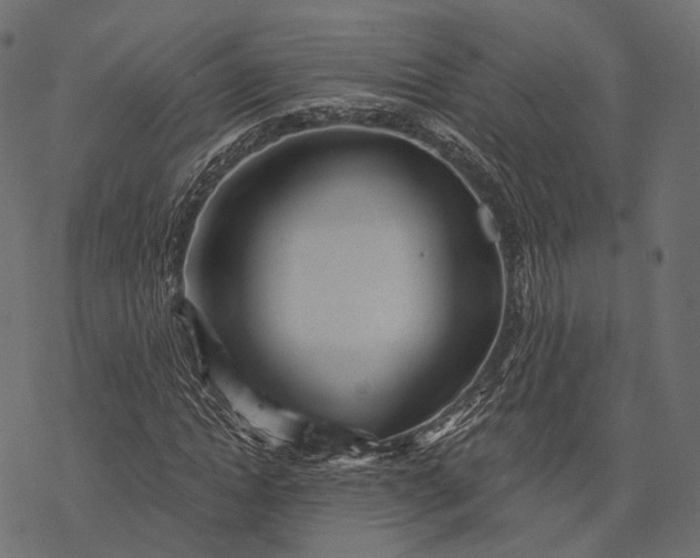 X0000077320822200611031703