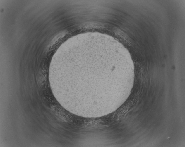 X0000077320824200611031703