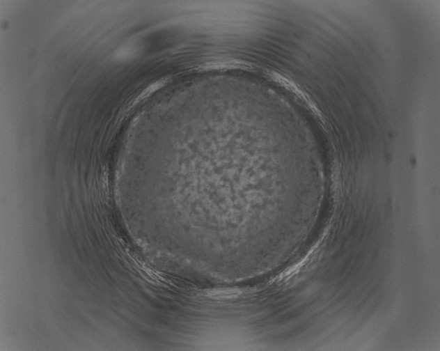 X0000077320825200611031703