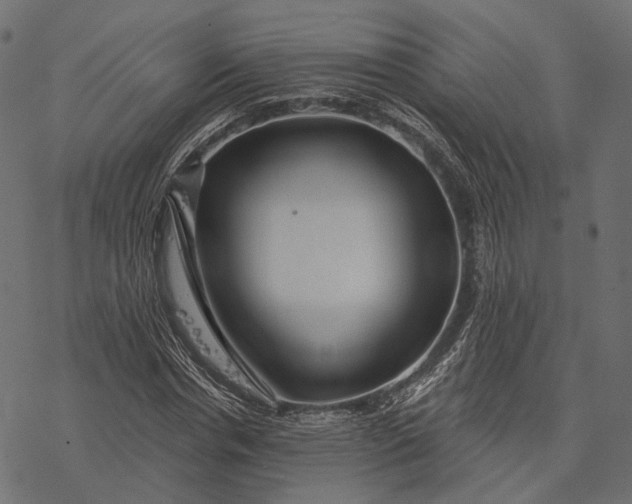 X0000077320826200611031703