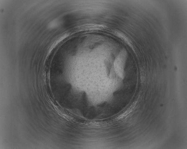 X0000077320827200611031703