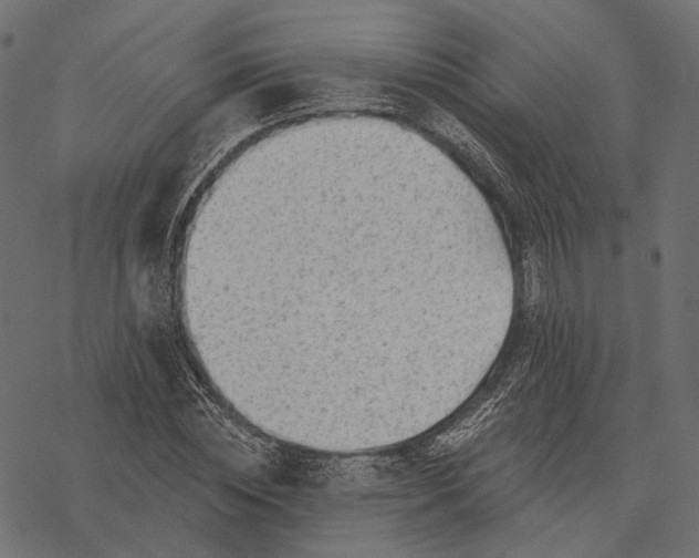 X0000077320828200611031703