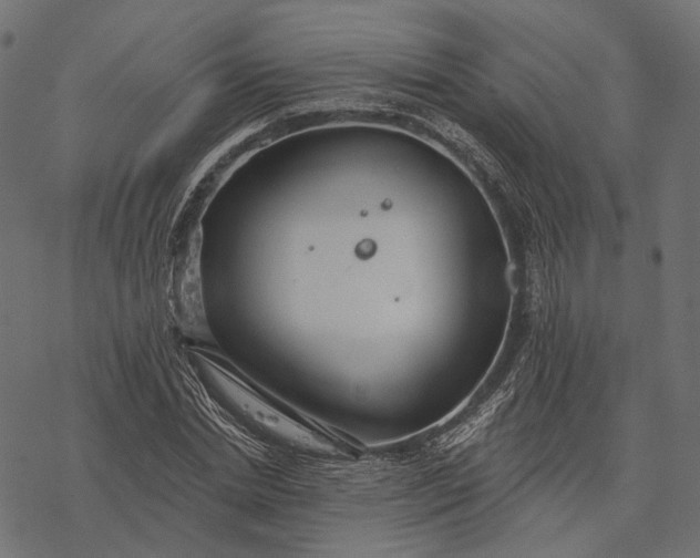 X0000077320830200611031703