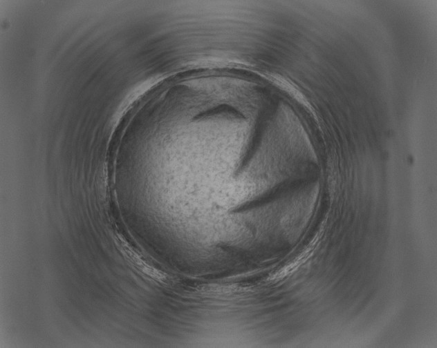 X0000077320831200611031703