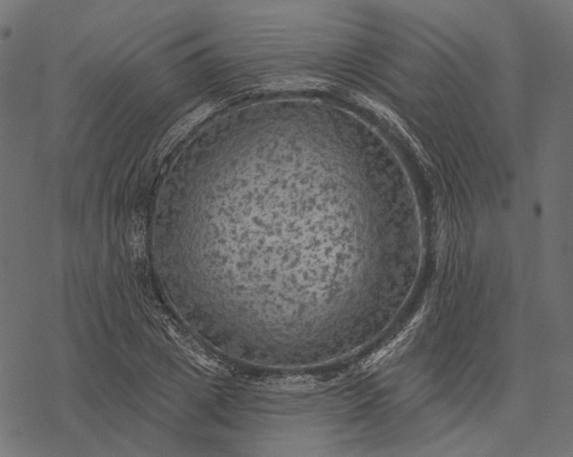 X0000077320833200611031703