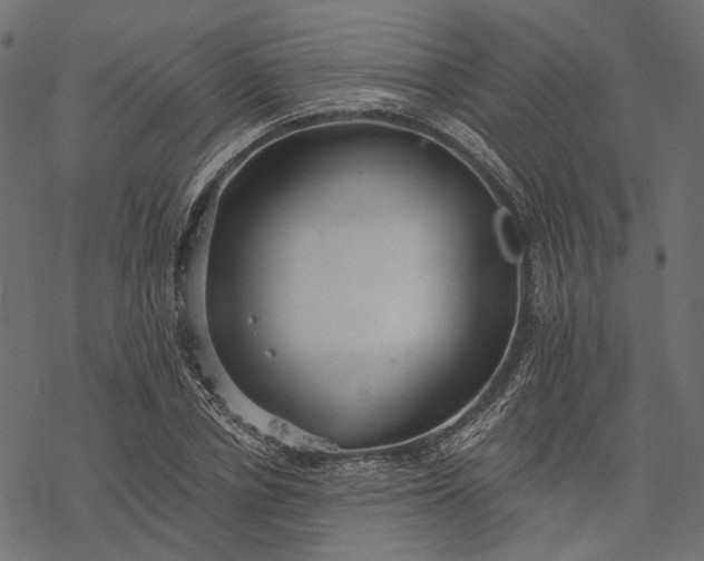 X0000077320834200611031703