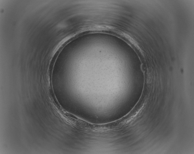 X0000077320837200611031703