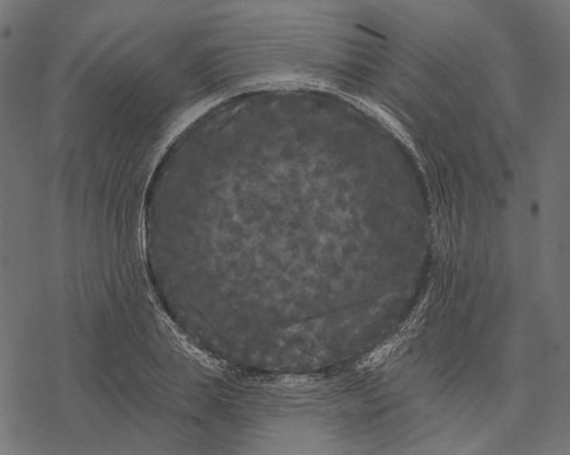 X0000077320839200611031703