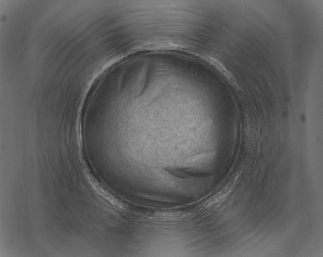 X0000077320840200611031703