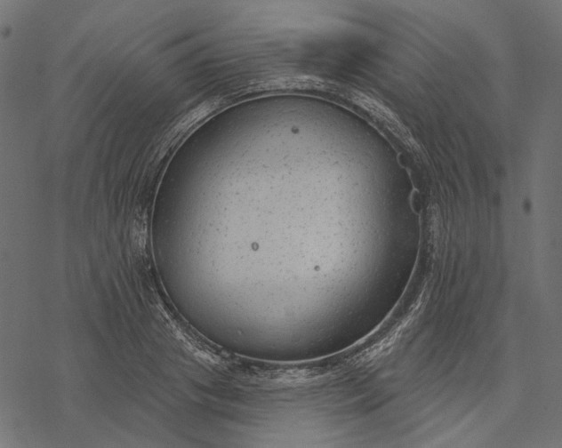 X0000077320841200611031703