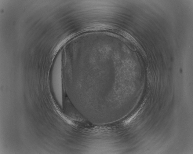 X0000077320842200611031703