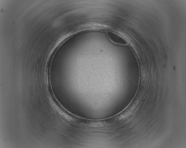 X0000077320843200611031703