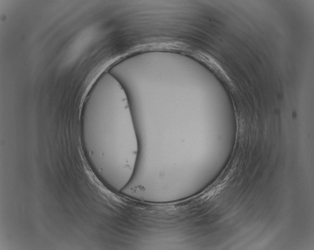 X0000077320844200611031703