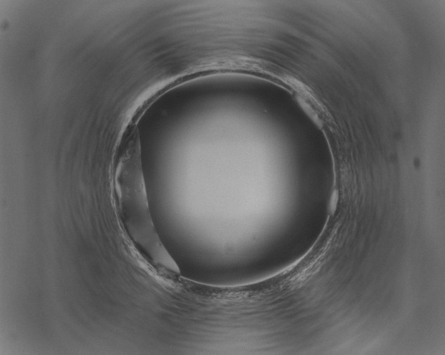 X0000077320846200611031703