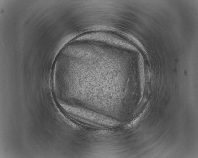 X0000077320847200611031703