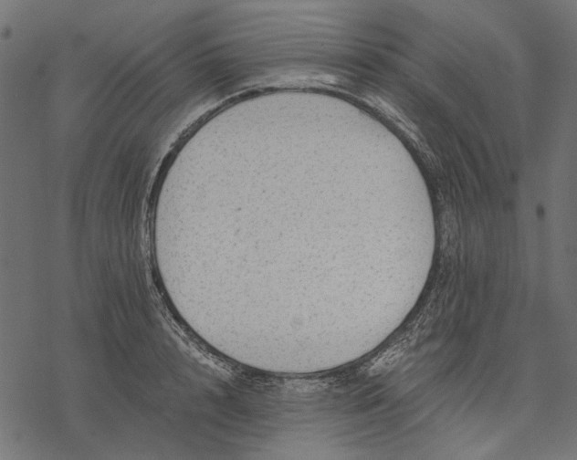 X0000077320848200611031703