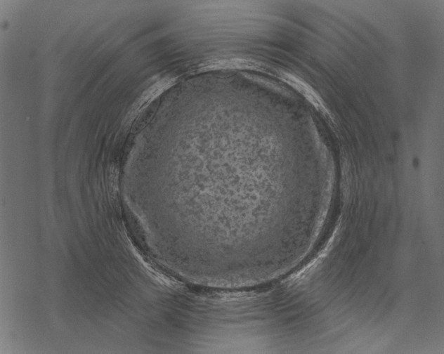 X0000077320849200611031703