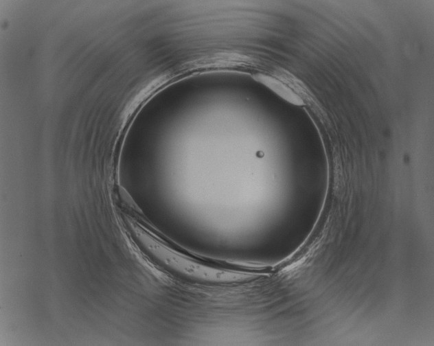 X0000077320850200611031703