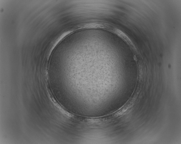 X0000077320852200611031703