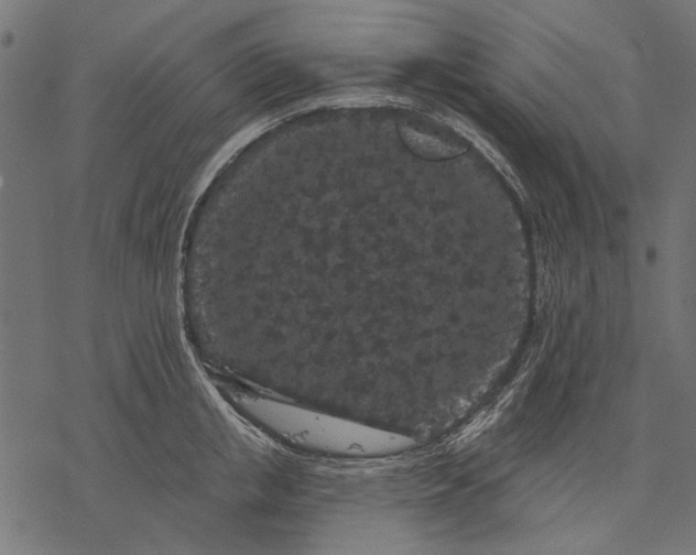 X0000077320853200611031703