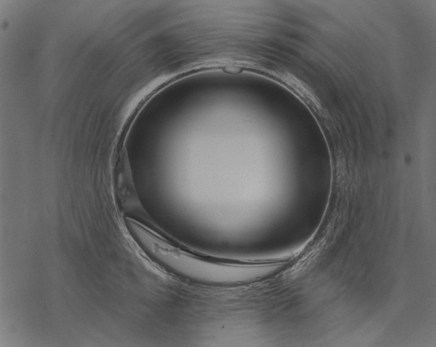 X0000077320854200611031703