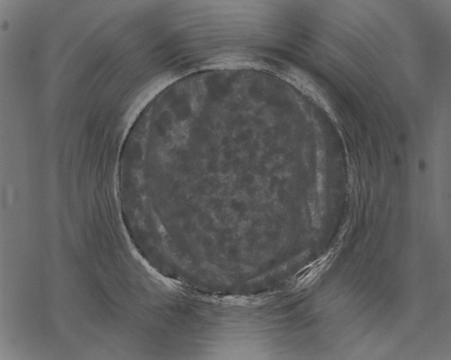 X0000077320855200611031703