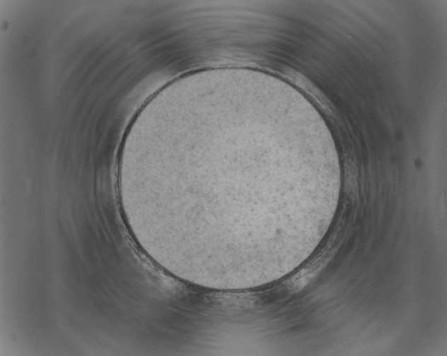 X0000077320856200611031704