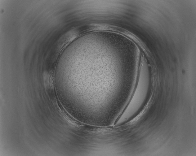 X0000077320857200611031704